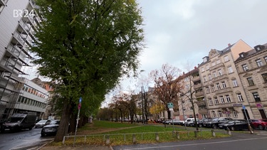 Parkraum statt Platz für Bäume in der Hornschuchpromenade?  | Bild: BR