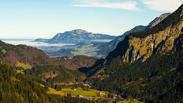 Allgäuer Alpen mit Grünten | Bild: picture-alliance/dpa