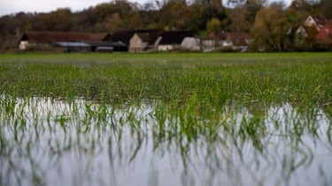 Eine überschwemmte Wiese in Unterfranken im November 2023. | Bild: dpa-Bildfunk/Pia Bayer