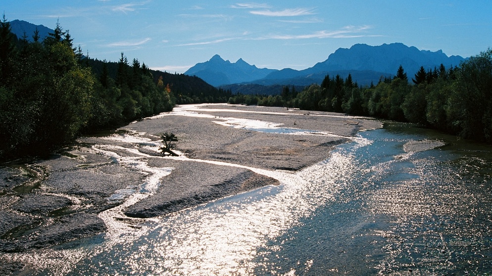 Natur Exclusiv: Wasser Für Die Wilde Isar | Natur Exclusiv | BR ...