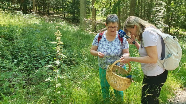 Wildpflanzen-Expertin Gerlinde Rößner und Iska Schreglmann auf Nahrungssuche. | Bild: BR/Iska Schreglmann