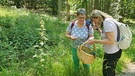 Wildpflanzen-Expertin Gerlinde Rößner und Iska Schreglmann auf Nahrungssuche. | Bild: BR/Iska Schreglmann