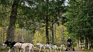 Volle Fahrt voraus: Auf der Huskyfarm darf Emilia das erste Mal in ihrem Leben ein Hundegespann steuern. | Bild: BR/Bewegte Zeiten Filmproduktion GmbH/Megan Ehrmann