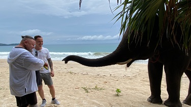 Schwäbische Tätowierer in Thailand | Bild: BR/Constantin Entertainment