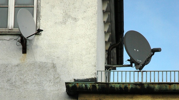 Junge Menschen schauen aus dem Fenster in Himmel und zur Satelliten-Schüssel. | Bild: Maren Bornemann