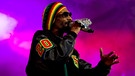 snoop lion | Bild: picture-alliance/dpa