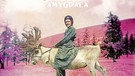 Albumcover Amygdala | Bild: Pampa Records