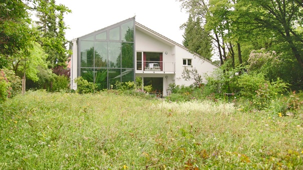 Blumenwiese von Prof. Karl Stetter in München | Bild: BR