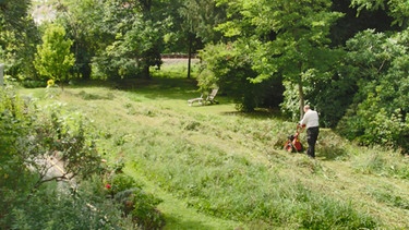 Blumenwiese von Prof. Karl Stetter in München | Bild: BR