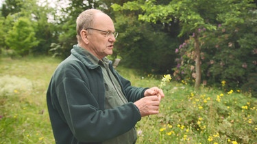 Blumenwiese von Prof. Karl Stetter in München | Bild: BR