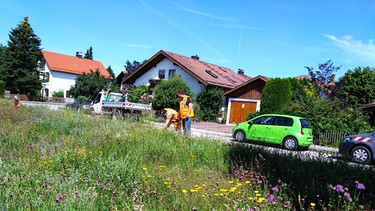 Allgäuer Blumenwiesen: Das Team der Stadtgärtnerei Kaufbeuren | Bild: Galina Kirsunova