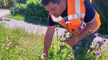 Allgäuer Blumenwiesen: Leiter der Stadtgärtnerei Kaufbeuren Markus Kretschmann | Bild: Galina Kirsunova