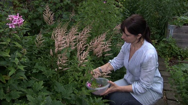 Beeren zum Anschauen und Naschen | Bild: BR