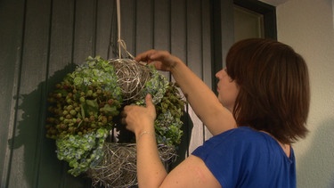 Beeren zum Anschauen und Naschen | Bild: BR