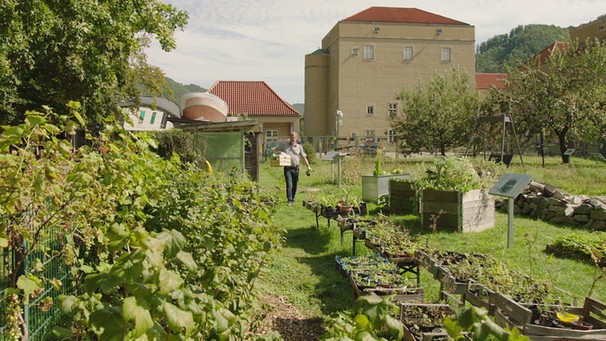 Donaugarten Jochenstein | Bild: BR