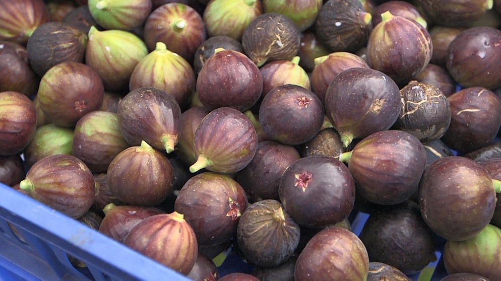 Feigen Aus Dem Garten Feigen Aus Bayern Querbeet Br Fernsehen Fernsehen Br De