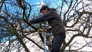 Apfelbaum sanieren mit Gärtner Elias Schmitt (Heroldsbach, Lkr. Forchheim)
| Bild: Jan Kerckhoff