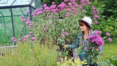 Beerenobst ernten und verarbeiten im Querbeet-Garten mit Sabrina Nitsche | Bild: Tobias Bode