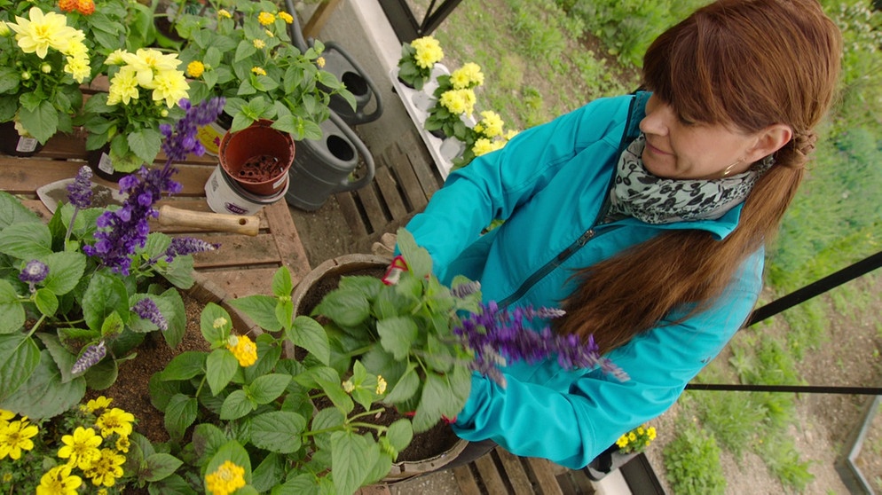 Tipps Von Sabrina Bienenfreundliche Pflanzen Querbeet Br