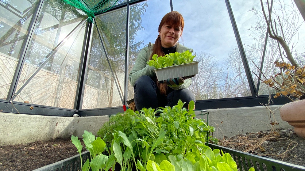 Canna (Blumenrohr) auswintern und Salat pflanzen im Querbeet-Garten mit Sabrina Nitsche | Bild: Julia Schade