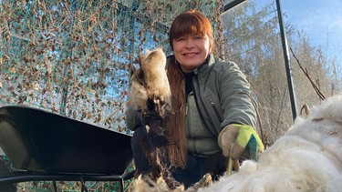 Canna (Blumenrohr) auswintern und Salat pflanzen im Querbeet-Garten mit Sabrina Nitsche | Bild: Julia Schade