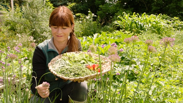 Tipps Von Sabrina Krauter Im Querbeet Garten Querbeet Br