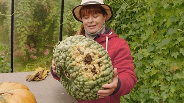 Kürbisse ernten, lagern und Kürbis-Risotto im Querbeet-Garten mit Sabrina Nitsche | Bild: BR / Michael Ackermann