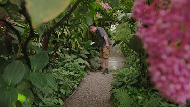 Pflanzen aus Insektensicht im Botanischen Garten München mit Till Hägele | Bild: BR / Michael Ackermann