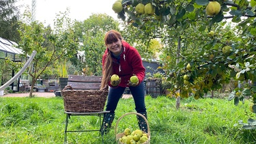 Quitten im Querbeet-Garten -  Ernte und Rezept: Fruchtriegel mit Quitte (mit Sabrina Nitsche | Bild: Julia Schade