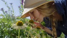 Top 5 der Echinacea (Sonnenhut) mit Eva Giesel, Gärtnerei Augustin, Effeltrich, Lkr. Forchheim
| Bild: BR / Tino Müller