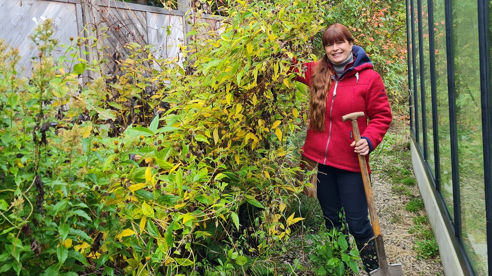 Stauden teilen im Querbeet-Garten mit Sabrina Nitsche | Bild: Tobias Bode