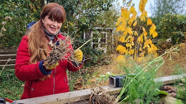 Stauden teilen im Querbeet-Garten mit Sabrina Nitsche | Bild: Tobias Bode