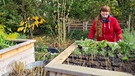 Stauden teilen im Querbeet-Garten mit Sabrina Nitsche | Bild: Tobias Bode