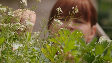 Wurzelgemüse ernten im Querbeet-Garten mit Sabrina Nitsche | Bild: Tobias Bode