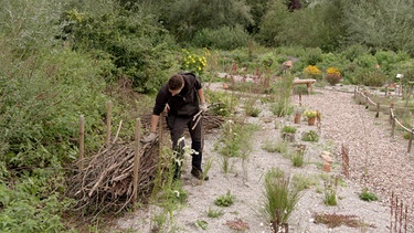 Gärtneraktion „Herbstlich willkommen“ mit Monika und Nico Dumbsky (Gärtnerei Dumbsky, 86949 Hechenwang)
| Bild: BR / Michael Ackermann