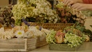 Hochzeitsblumen verwerten | Bild: BR