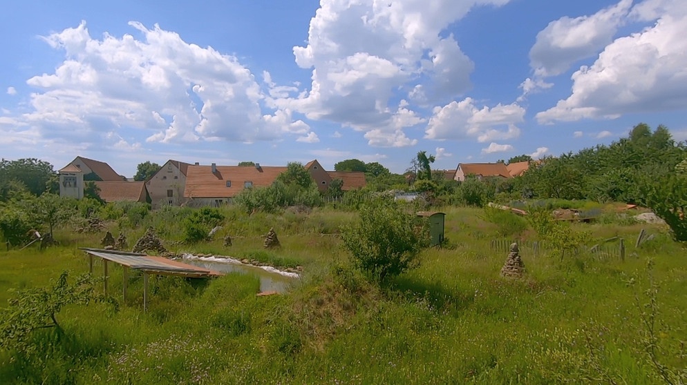 3 Zonen Garten Hortus Insectorum Querbeet Br Fernsehen