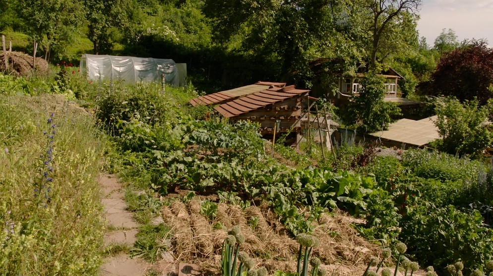 3 Zonen Garten Hortus Insectorum Querbeet Br Fernsehen