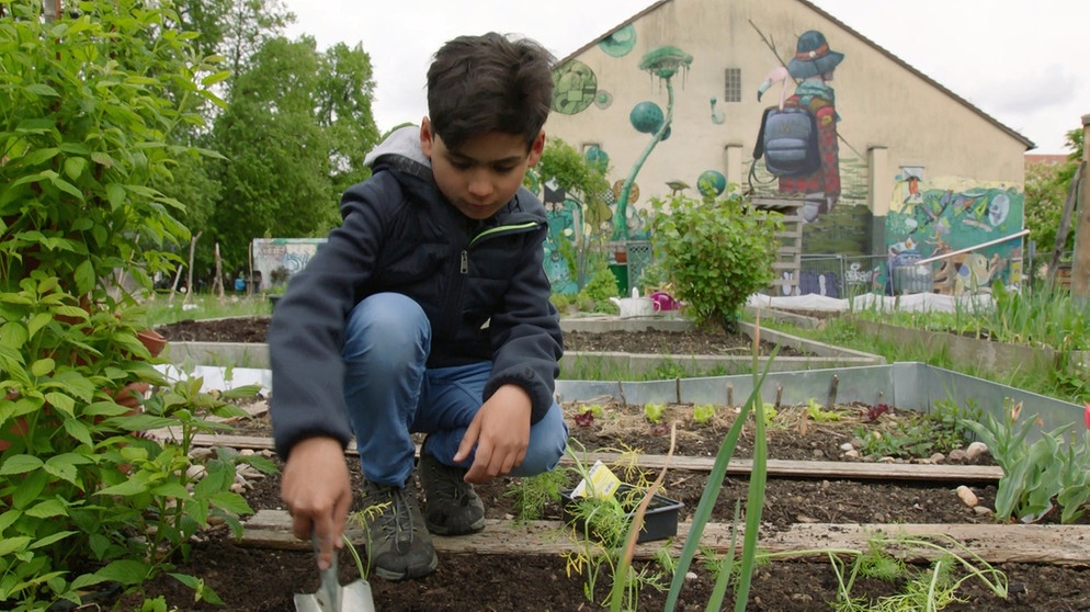 Urban Gardening Im Grow Up Interkultureller Garten Augsburg