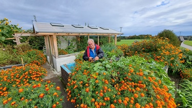 Kleingewächshaus mit Photovoltaik von Hans Schmid (Schnaisee, Lkr. Traunstein) | Bild: Jan Kerckhoff