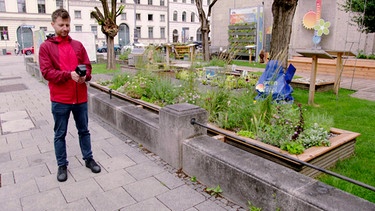 Klimawandel-Garten in München: Florian Demling mit Wärmebildkamera | Bild: BR / Tibor Blasy