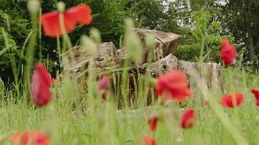 Naturgarten Bayreuth | Bild: BR