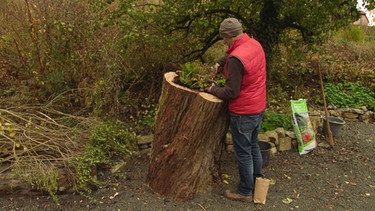 Naturgarten Hortus Nocte Mainbernheim | Bild: BR