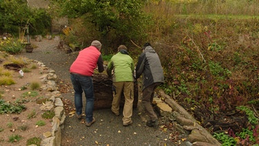 Naturgarten Hortus Nocte Mainbernheim | Bild: BR