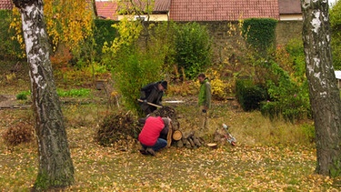 Naturgarten Hortus Nocte Mainbernheim | Bild: BR