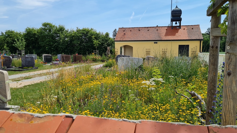 Für Die Artenvielfalt: Naturnaher Friedhof | Querbeet | BR Fernsehen ...