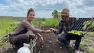 No-Dig-Beet mit Nicole Krüger und Christopher Tuchart (Veggie Ranch Marktgärtnerei, Winkelhaid, Lkr. Nürnberger Land)
| Bild: Julia Schade