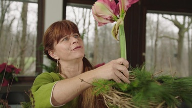 Ritterstern (Amaryllis) mit Sabrina NItsche | Bild: BR / Michael Ackermann