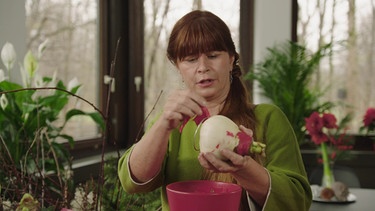 Ritterstern (Amaryllis) mit Sabrina NItsche | Bild: BR / Michael Ackermann