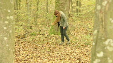 Deko mit Eicheln und Bucheckern von Sabrina Nitsche | Bild: BR / Bernhard Finger